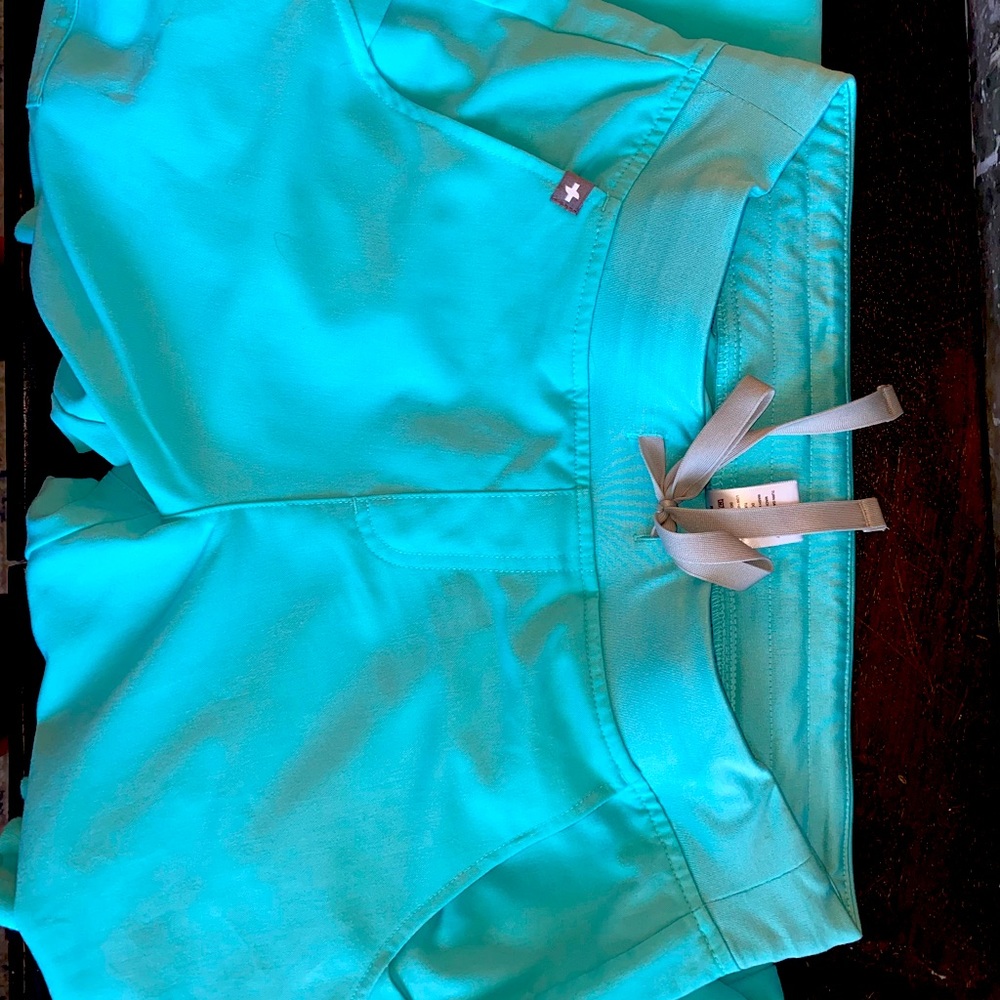 Fresh Aqua ZAMORA FIGS JOGGERS! Size Small/Tall!